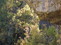 Gorges de Saint-Génis  L'automne est bien la ! ...