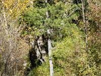 Gorges de Saint-Génis  Le sentier (sens inverse de la marche)