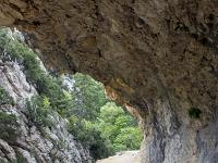Gorges de Trévans  Le sentier taillé dans la roche 2/4