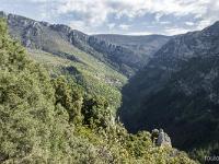 Gorges de Trévans  Vue sur les gorges depuis l'Abbaye