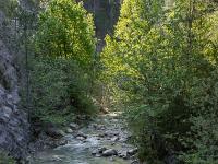 Gorges de Trévans  L'Estoublaisse