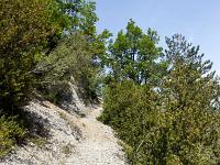Gorges de Trévans  Le sentier
