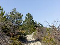 Piloubeau  Le sentier (GPR)