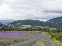 Les Houlettes - Sisteron  Lavandes aux Houlettes