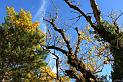 rive-jabron-14web
