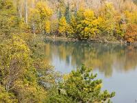 Automne 2015  Rives de la Durance depuis le pont de Baume