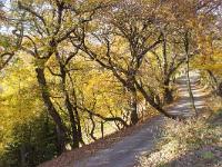 Automne 2015  Sisteron - Chemin de la Nuierie