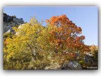 Automne 2016 en Haute Provence  Dans le défilé de Pierre Ecrite entre Sisteron et Saint Geniez