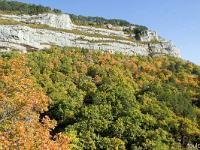 Automne 2016 en Haute Provence  Aigues Champs en début de flamboiement