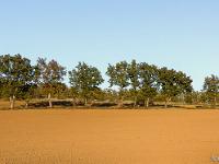 Automne 2016 en Haute Provence  Sisteron - Plateau de Soleillet Servoules