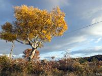 Automne 2016 en Haute Provence  A Châteauneuf Val Saint Donat
