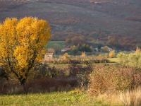 Automne 2016 en Haute Provence  A Châteauneuf Val Saint Donat