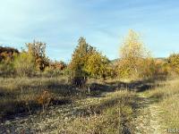 Automne 2016 en Haute Provence  Paysage automnal près de Mirabeau 5/7