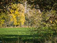 Automne 2016 en Haute Provence  Paysage automnal près de Mirabeau 6/7