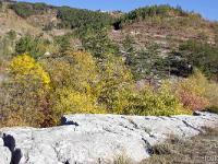 Automne 2017  Au niveau de la Croix près de Chardavon