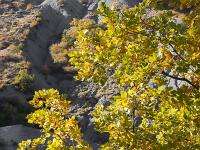 Automne 2017  Sisteron les Houlettes