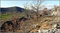 borie-banon-11web