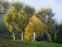 Brumes automnales  Brumes Cours Melchior Donnet