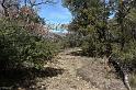 st-donat-haut-04web