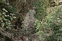 st-donat-haut-15web