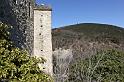 st-donat-24web