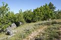 rav-terre-basse-08