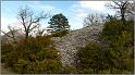 collet-06web