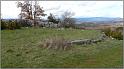 collet-07web