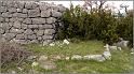 collet-14web