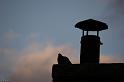 sisteron-cheminee-2web