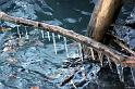 glace-branche-web