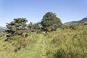esparron-monges-063web