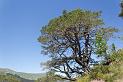 esparron-monges-080web