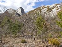 Bevons - Entre les Bastides et St Pensier  Montagne de Pierre Impie et Pas de l'Essaillon. Nous allons revenir sur la droite vers le Pas de Saint Pensier en longeant la crête