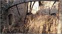 filature-23web