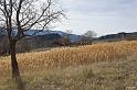 houlette-pays-002-2