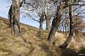 houlette-pays-007-2