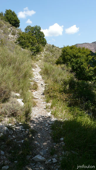 castellas-11web.jpg - Nous sortons des bois et marchons désormais à découvert vers les Plates (vue ver l'Ouest). On aperçoit au loin à droite la Crête de la Colle et ses molènes rouges