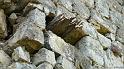 tour-melve-29web