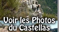 Castellas de Reynier