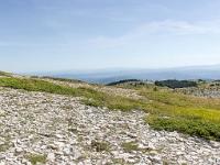 Crêtes de Lure  Vue sur l'adret de Lure depuis la ligne de crête