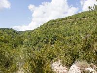 Ubac de Lure - septembre 2015  A droite Sumiou et au loin entre le vallon Pélegrine