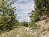 Ubac de Lure - septembre 2015  Je chemine ici sur une piste abandonnée ou la nature reprends ses droits !