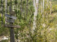 Ubac de Lure - septembre 2015  GR6 et Chemin de Sara en l’hommage d’une petite fille de la région, âgée de 12ans, et décédée dans la fleur de l’âge