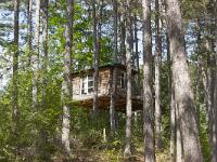 Ubac de Lure - septembre 2015  Cabane dans les arbre au Jas des Bailles