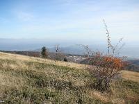 Montagne de Lure (1826 m)  Vue vers le Sud-Est et la vallée de la Durance
