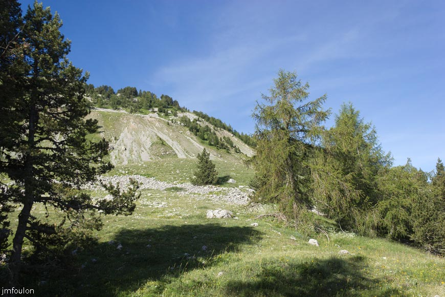 les_monges-011web.jpg - Nous sommes ici en lisière de forêt