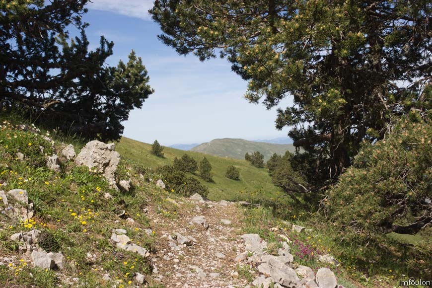 les_monges-031web.jpg - Le sentier au abords de la Crête du Raus
