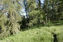 les_monges-010web