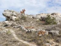 Les Mourres - Forcalquier